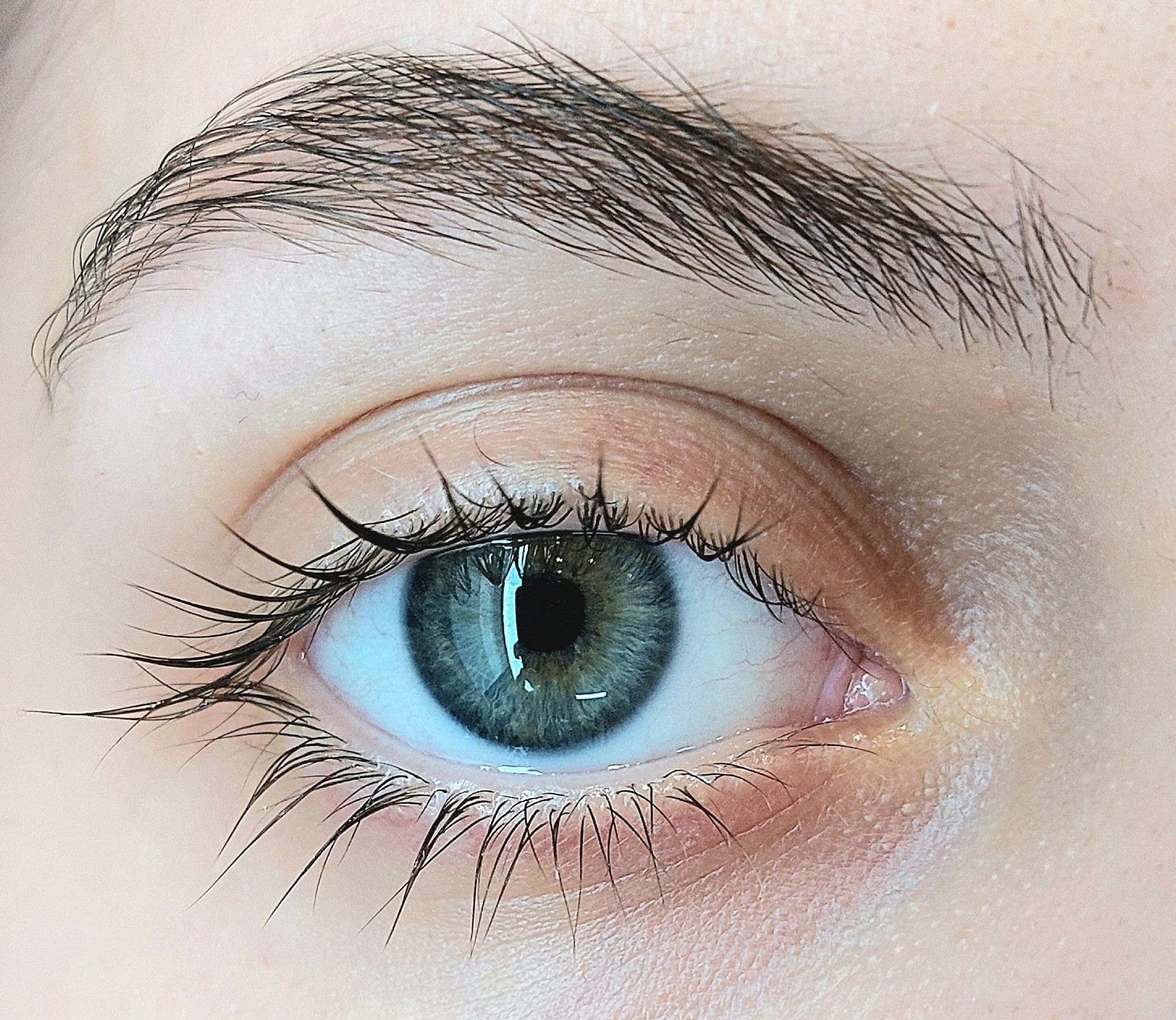 Schönes Auge mit langen Wimpern und gepflegter Augenbraue